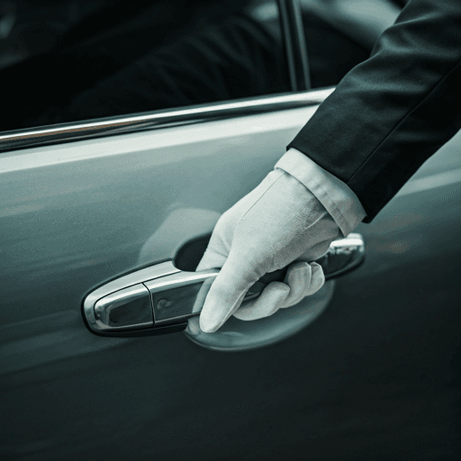 Chauffeur Guide